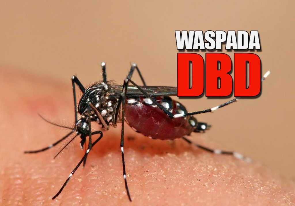 Waspada DBD Ada 427 Kasus Dan 5 Meninggal IniBalikpapan