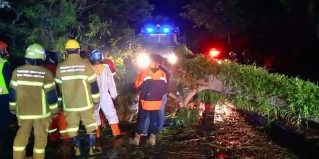 Balikpapan Angin Kencang Sejumlah Pohon Roboh IniBalikpapan