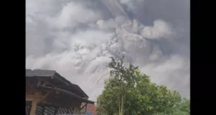 Gunung Semeru erupsi. Erupsi Gunung Semeru dari Desa Oro-oro Ombo, Kecamatan Pronojiwo, Sabtu (4/12/2021). Data sementara mencatat ada 48 warga alami luka bakar akibat erupsi Gunung Semeru. [Ist/suara)