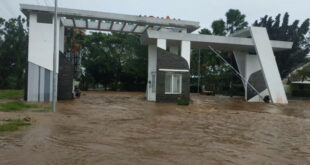 Banjir yang terjadi setelah hujan deras mengguyur wilayah Jember, Provinsi Jawa Timur, pada Minggu (9/1) mengakibatkan jatuhnya korban jiwa. (BPBD Kabupaten Jember)