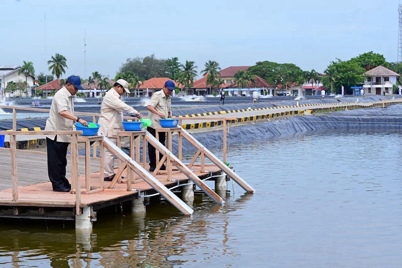 Presiden Prabowo Subianto mengunjungi Kawasan Balai Layanan Usaha Produksi Perikanan Budidaya (BLUPPB), Kabupaten Karawang, Provinsi Jawa Barat, Senin (02/12/2024). (Foto: BPMI Setpres/Muchlis Jr)