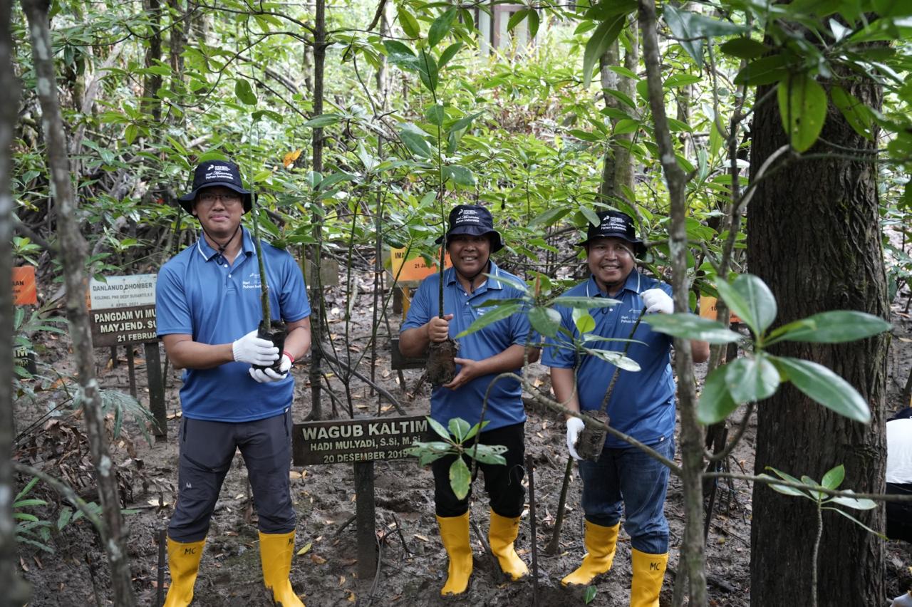 PT Kilang Pertamina Internasional (KPI) Unit Balikpapan menggagas aksi penghijauan dengan menanam 100 bibit mangrove jenis Rizophora Apiculata di Mangrove Center Graha Indah, Balikpapan.